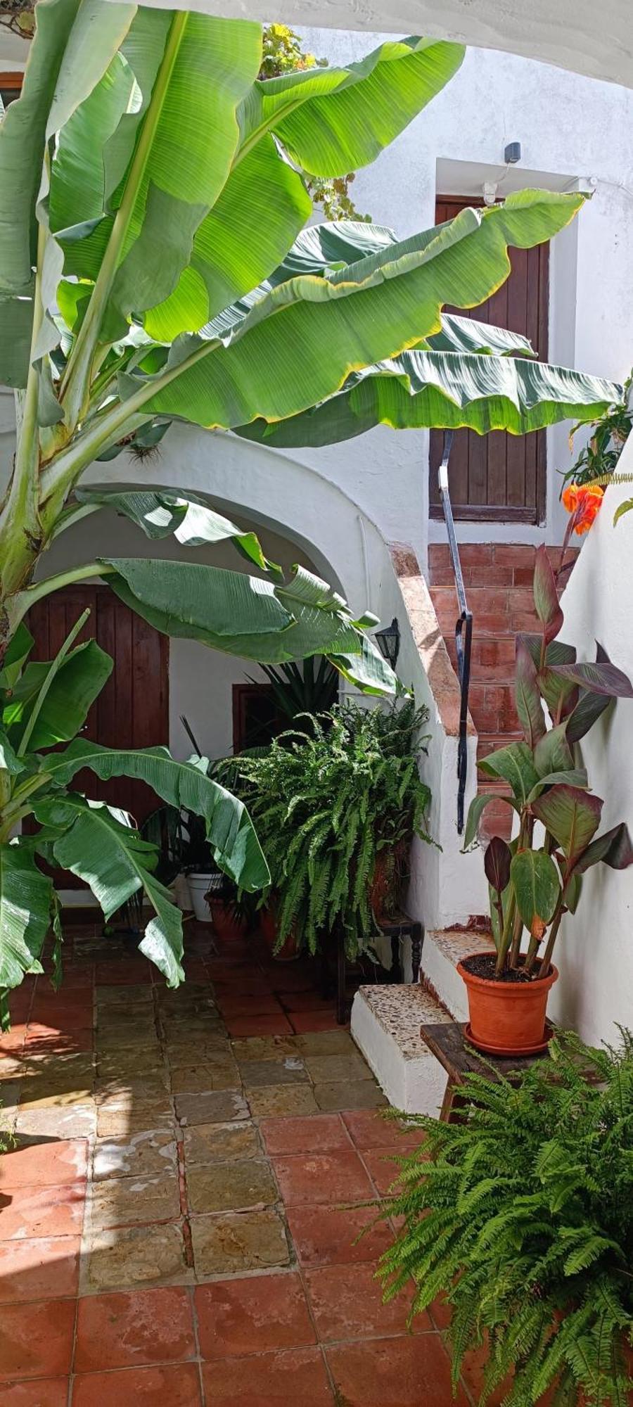 The Best In The Center Of Tarifa Apartment Ngoại thất bức ảnh