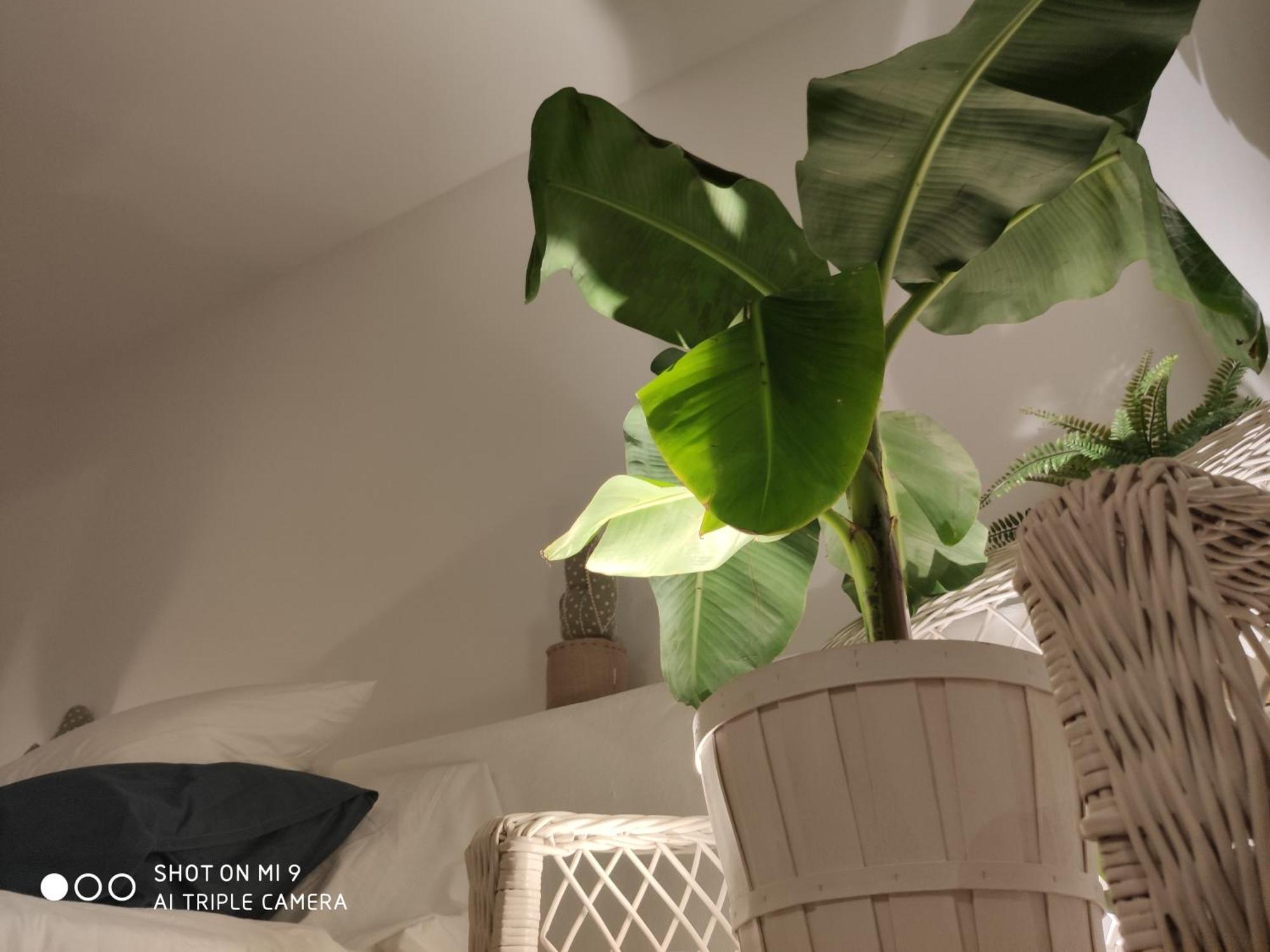 The Best In The Center Of Tarifa Apartment Ngoại thất bức ảnh